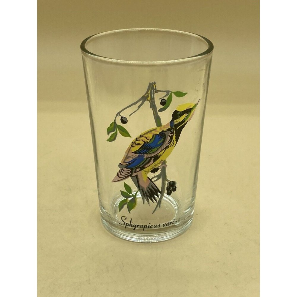 Vintage Malaysia Tropical Bird Glass 4 1/8” Tall Single Glass Swanky Swigs